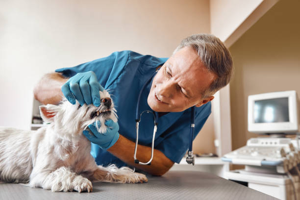 Best Emergency Root Canal Treatment in Muenster, TX